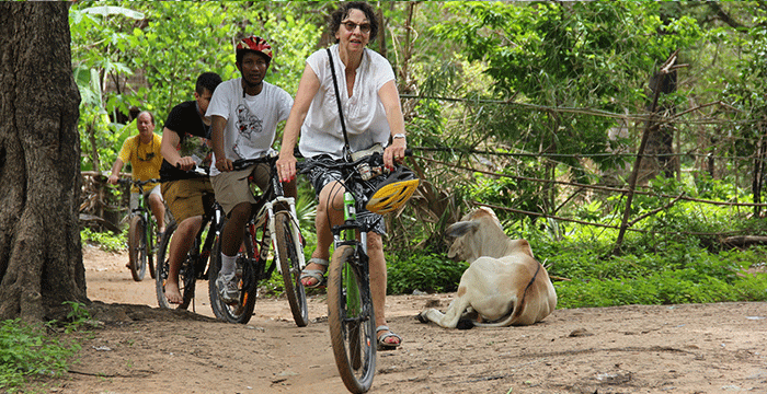 4 Day Gibbon Spotting Cambodia