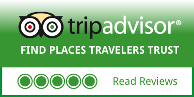 Trip advisor