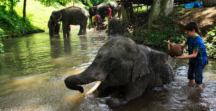 10-Day Laos Discovery Tour With Pakse