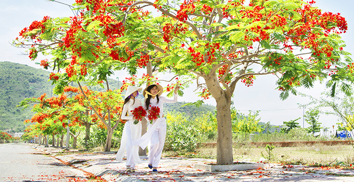 11-Day Myanmar and Northern Vietnam Culture Tour