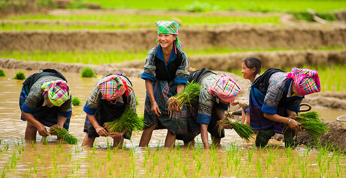 11-Day Cambodia and Vietnam with Halong Bay Cruise