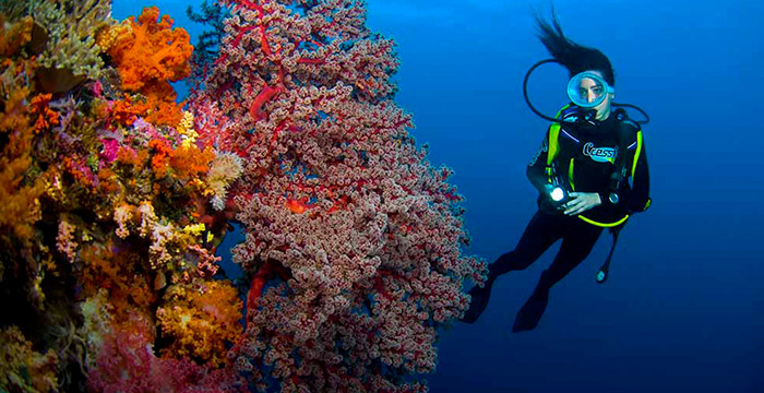 11-Day Classic Vietnam with Phu Quoc Island