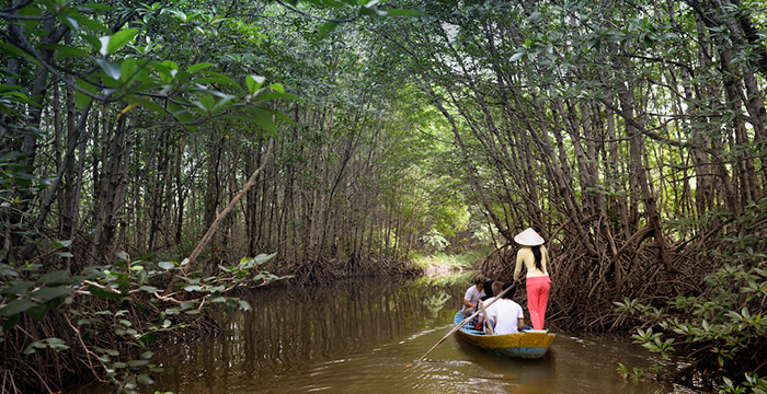 15-Day Depths of Vietnam