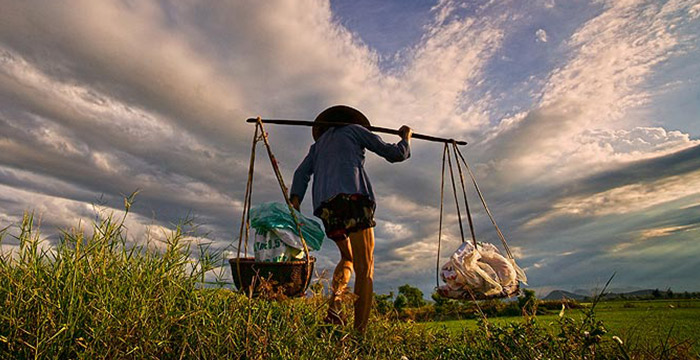14-Day Siem Reap and Vietnam Highlights
