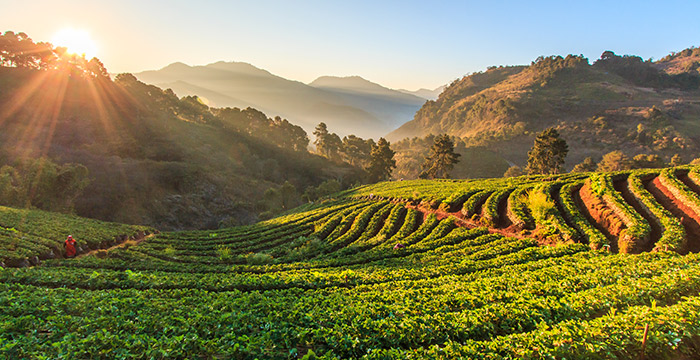 5-Day Golden Triangle Tour