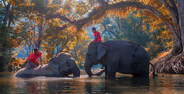 5-Day Golden Triangle Tour