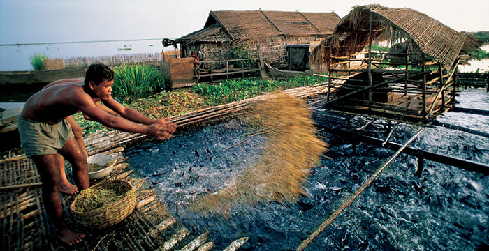 Cambodia Cultural Tour 7 Nights 8 Days