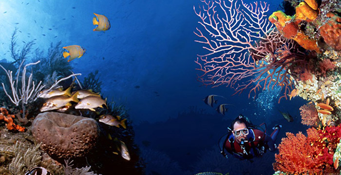 8-Day Golden Triangle Tour with Phuket