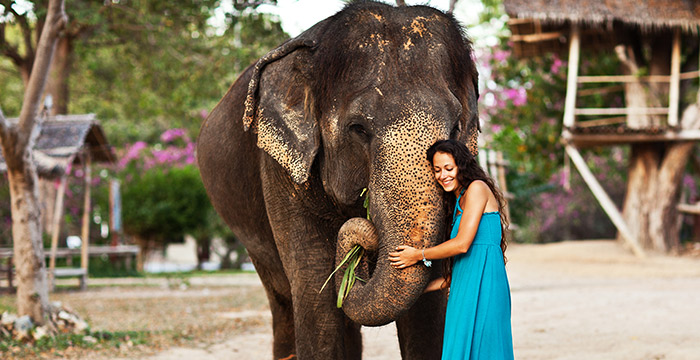 8-Day Golden Triangle Tour with Phuket