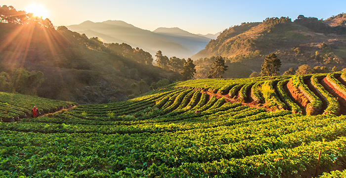 9-Day Best North Thailand Discovery
