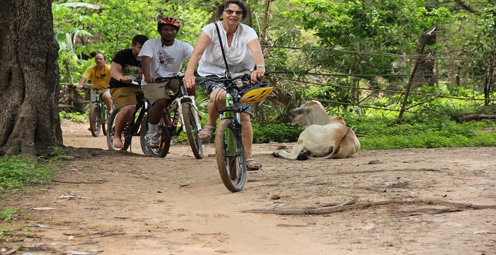 4 Days Siem Reap Family Tour biking