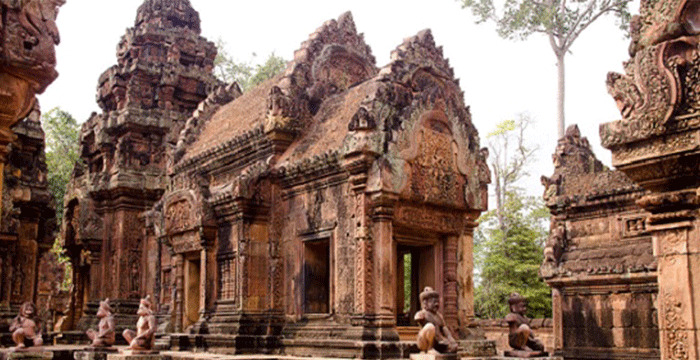 4-Day Cambodia Safari Tours