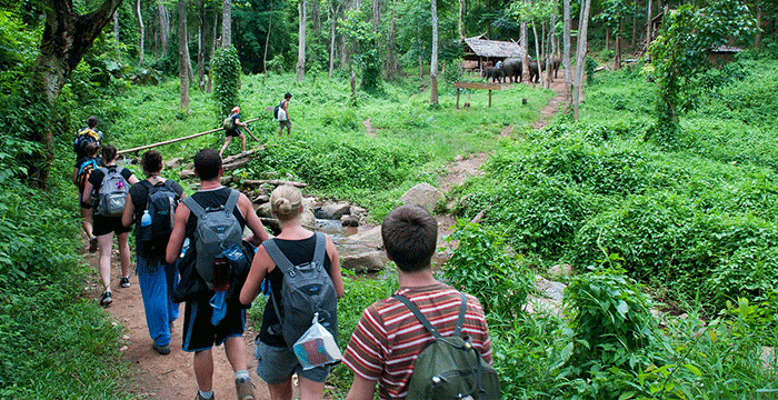4 Day Gibbon Spotting Cambodia