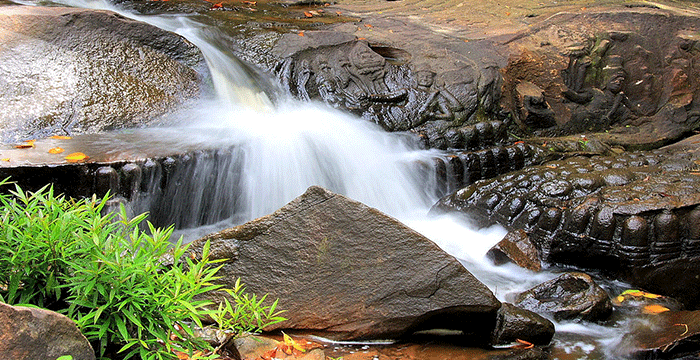 4-Day Cambodia Safari Tours