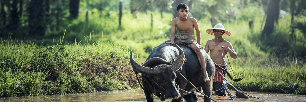 Historical of Cambodia