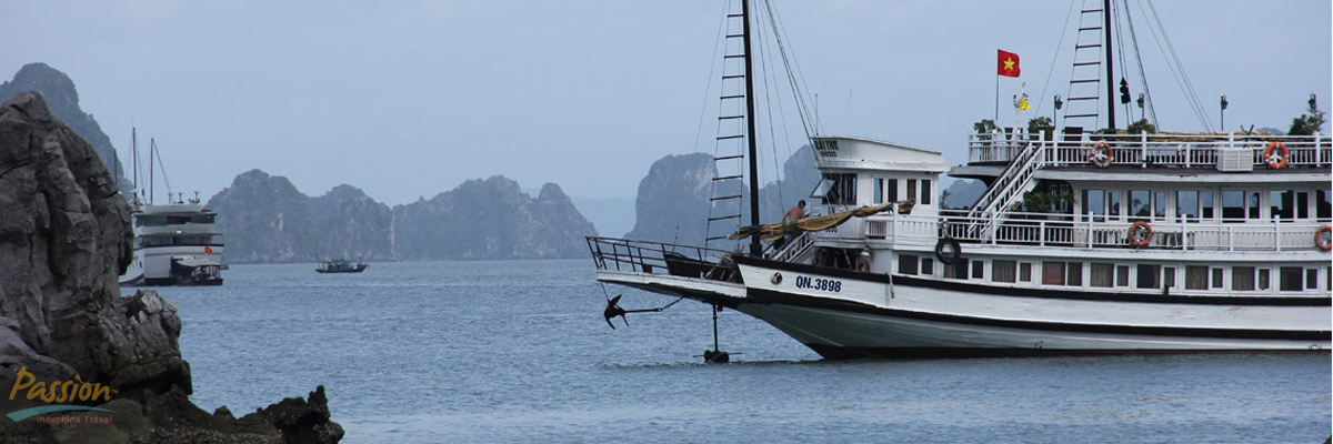 Halong Bay Tours