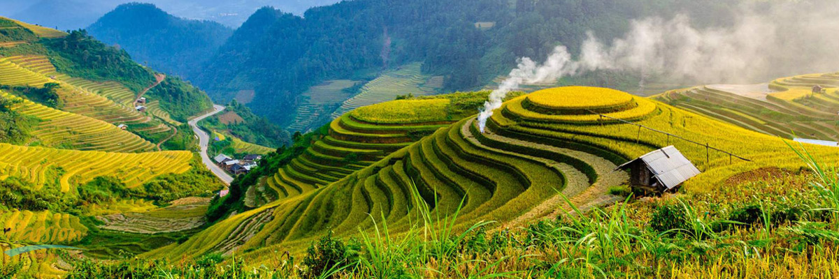 Vietnam Tours