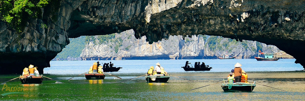 Vietnam Tours