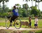 Cambodia Private Tours | 6-Day Cycling & Trekking Tour