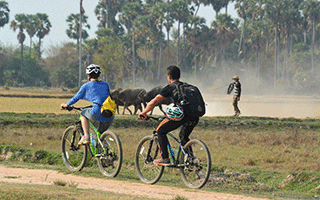 4 Day Gibbon Spotting Cambodia