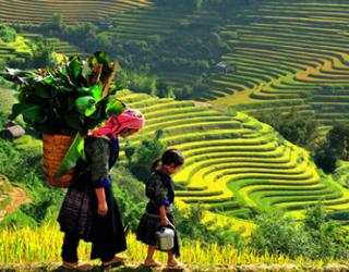 Vietnam