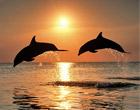 The Mekong Tour 4 Nights 5 Days